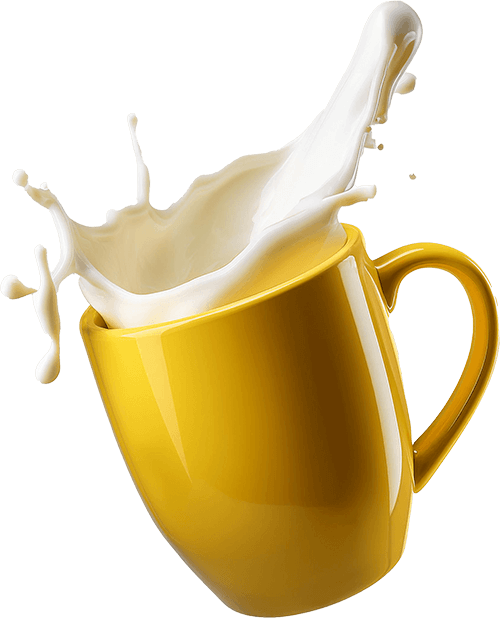 cup