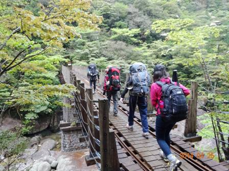 yakushima2604.04.jpg