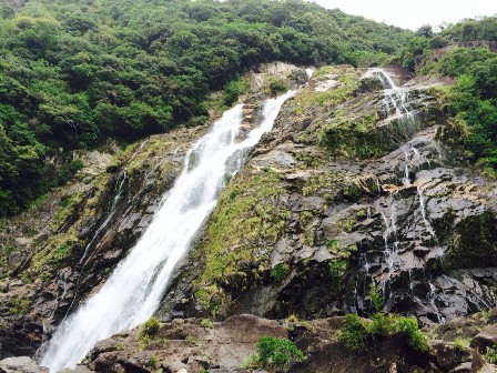 yakushima2604.10.jpg