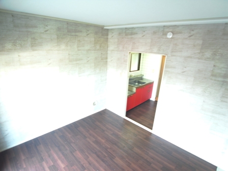 haitututut11 (4).JPG